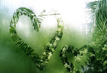 天涯炒股神贴：炒股秘籍大公开！