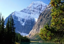 天涯炒股神贴：炒股秘籍大公开！